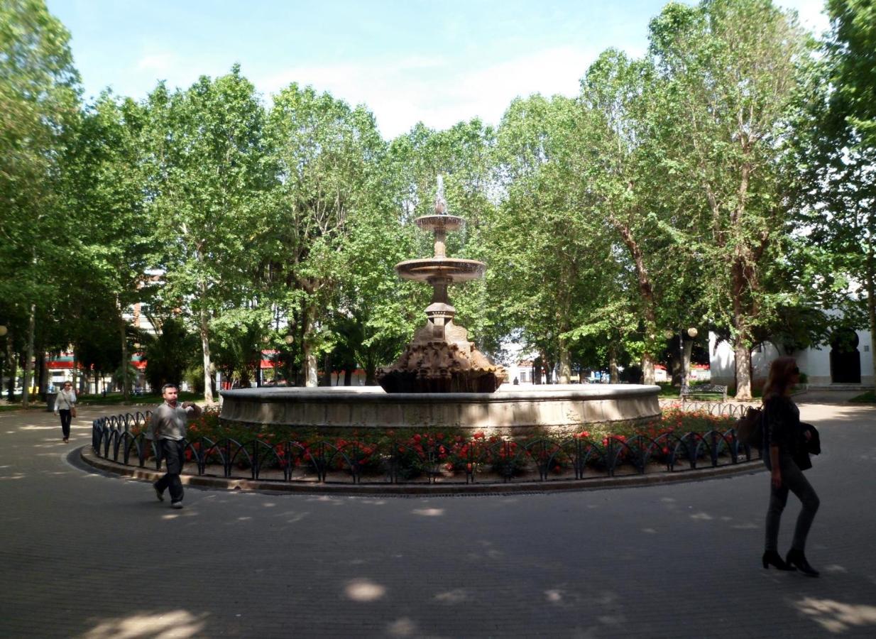 Estudio Jardines De Colon 科爾多瓦 外观 照片